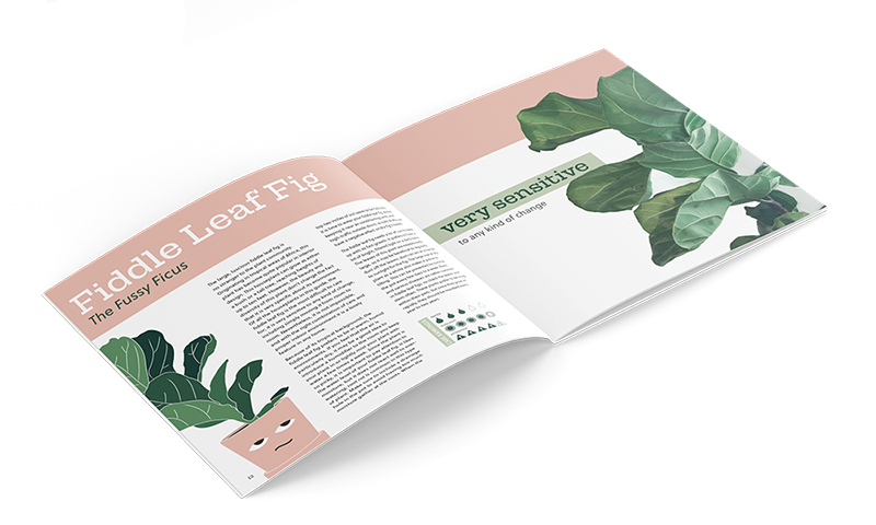 Please Don't Die Plant Care Brochure Pages