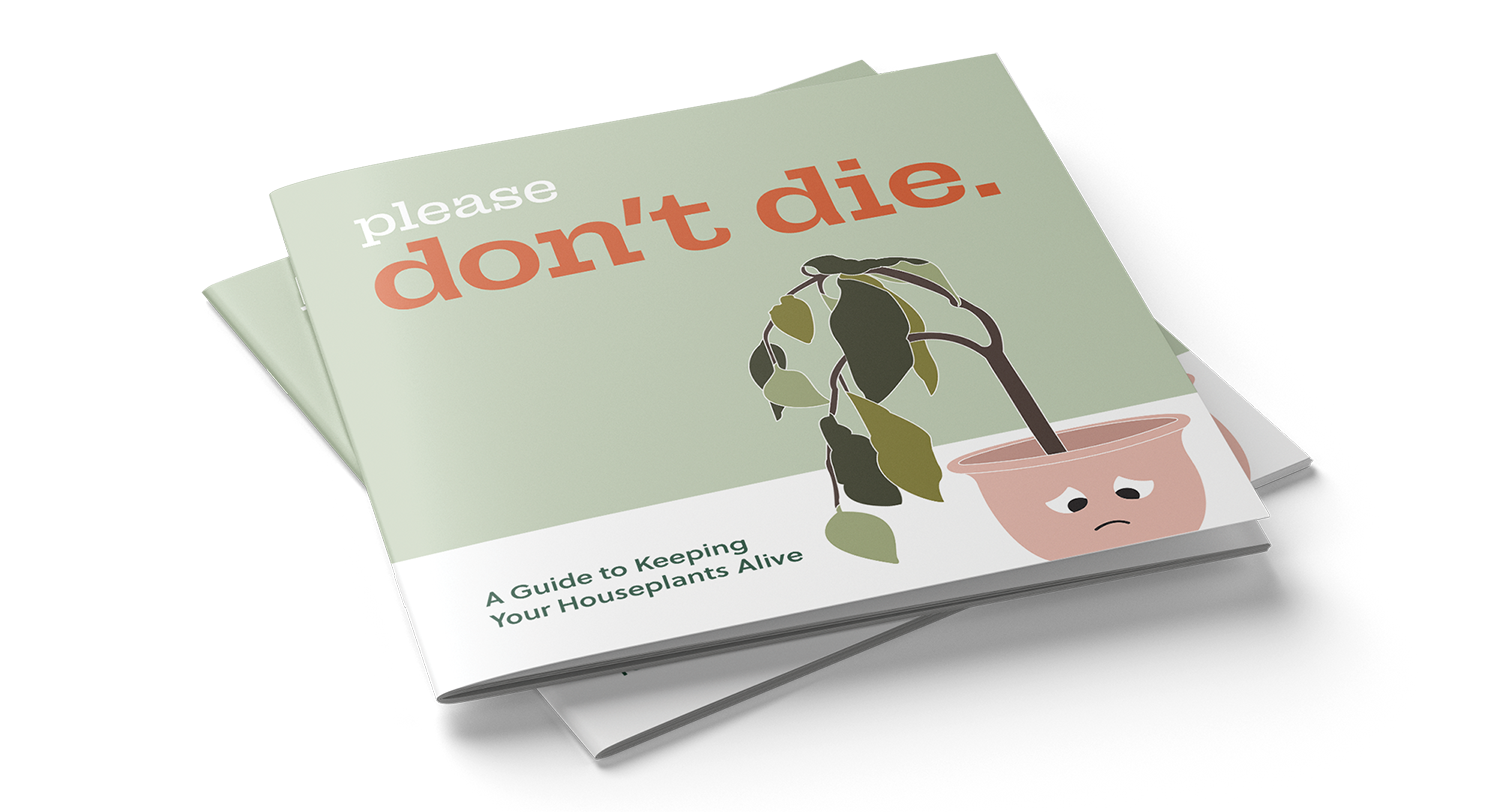 Plants from Please Don't Die Brochure Design