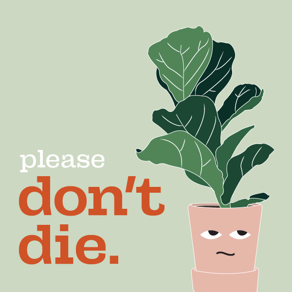 Stack of Please Don't Die Plant Care Brochures with cover showing.